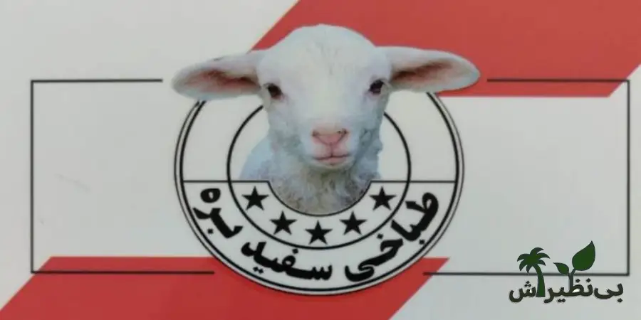 طباخی سفیدبره