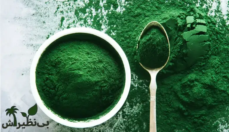 جلبک اسپرولینا